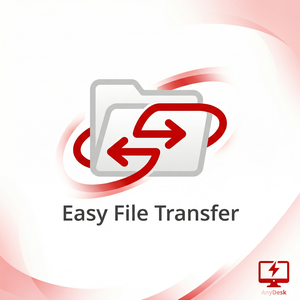 【anydesk官网】品牌 - AnyDesk远程控制在远程外汇管理中的应用